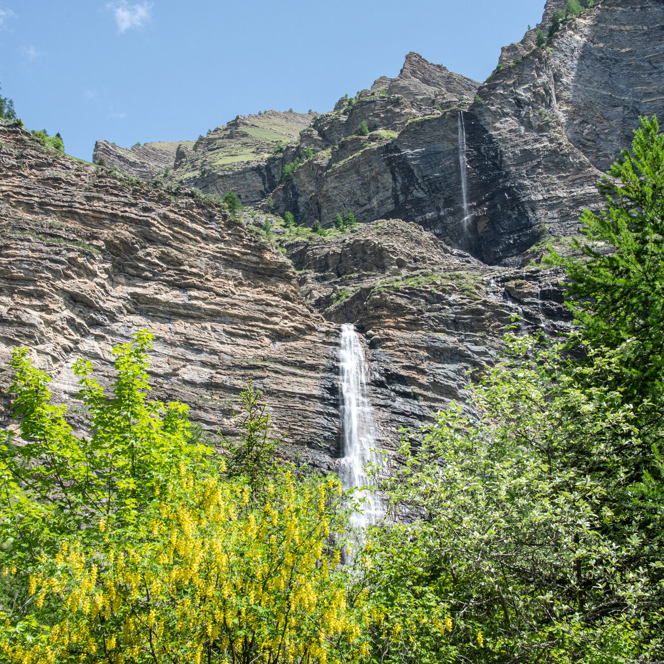 ©Parc national des Ecrins - Coulon Mireille