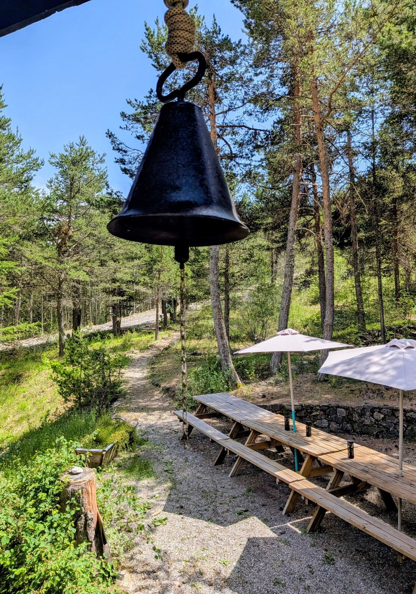 Les Pinees 4