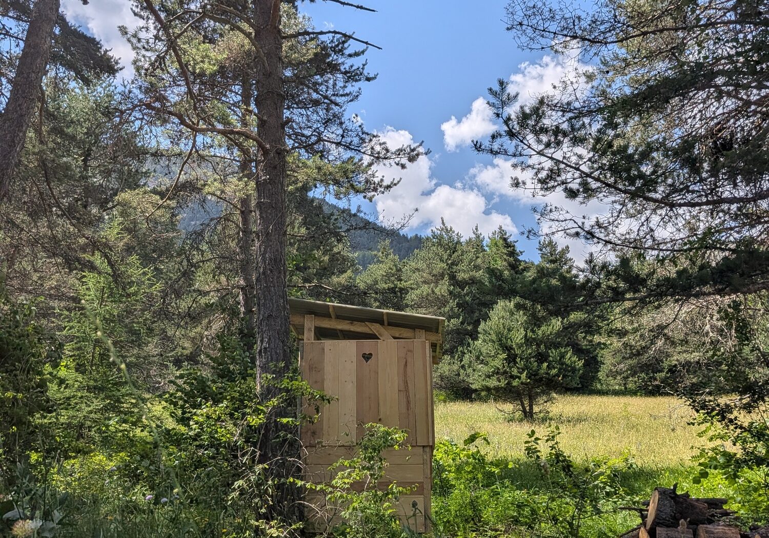Les Pinees Gite 4